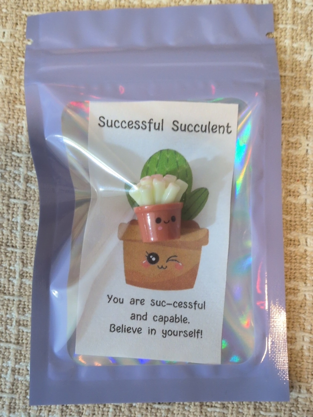 Successful Succulent Miniature